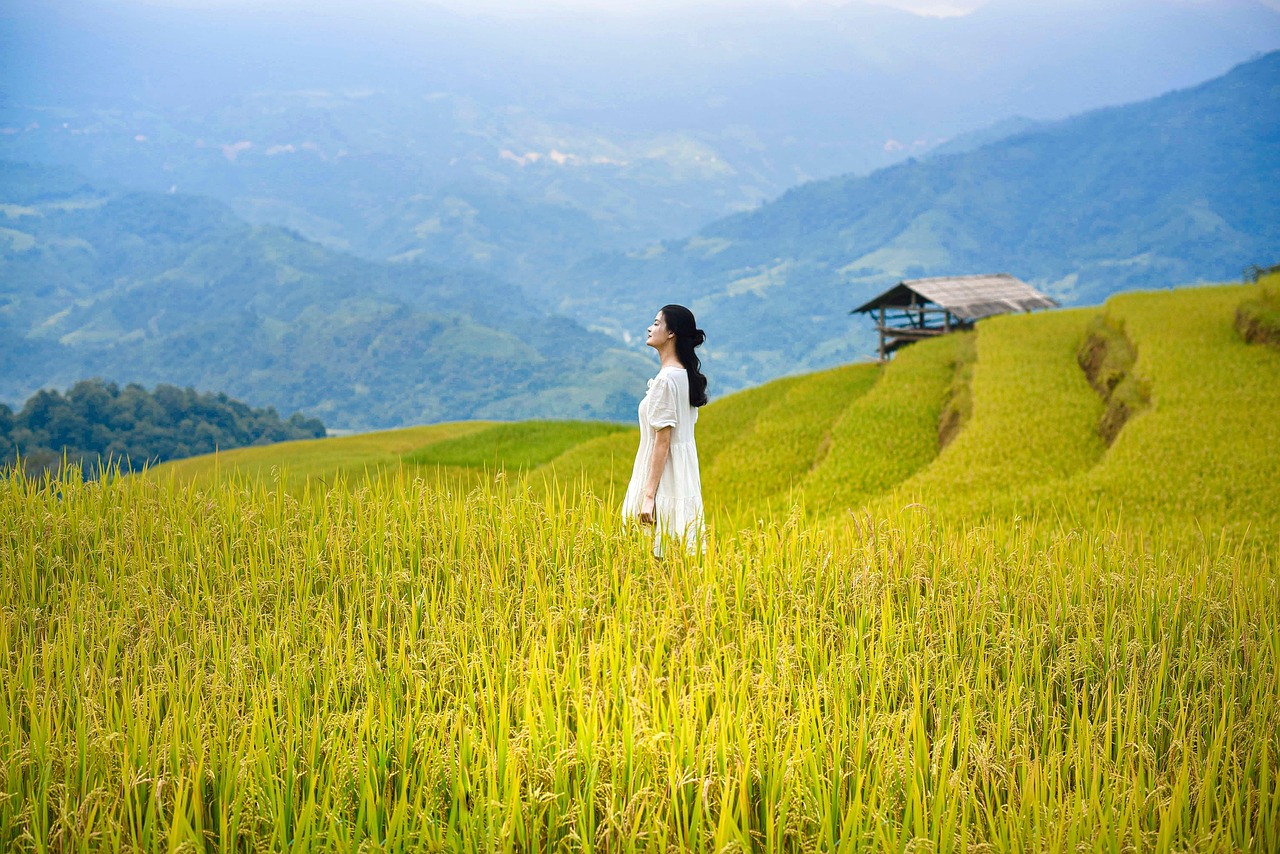Rakuten Mobile free overseas data Vietnam travel